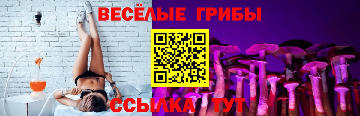 Фролово  где можно купить   Псилоцибиновые грибы Psilocybine cubensis  Вход с VPN  Псилоцибиновые грибы ЛСД 